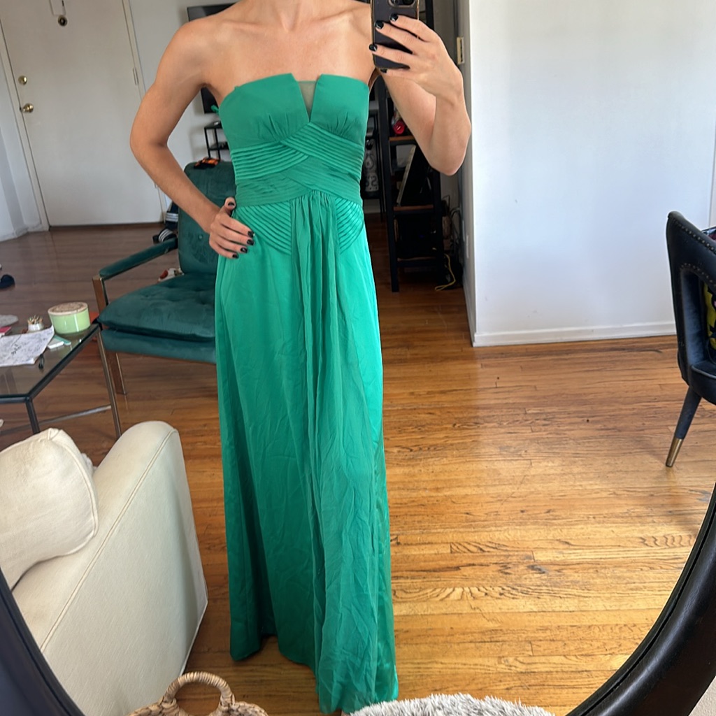 Bcbgmaxazria Emerald Maxi